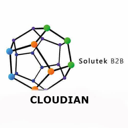 Cloudian